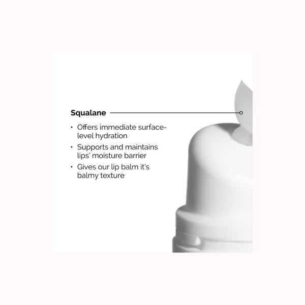 The Ordinary Squalane and Amino Acids Lip Balm